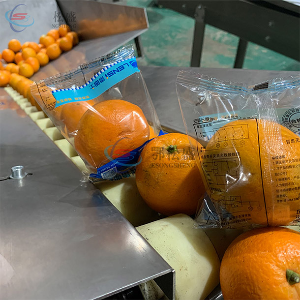橙子包装机方案