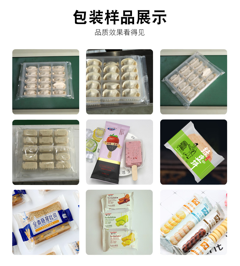 枕式速冻饺子包装机(图1)