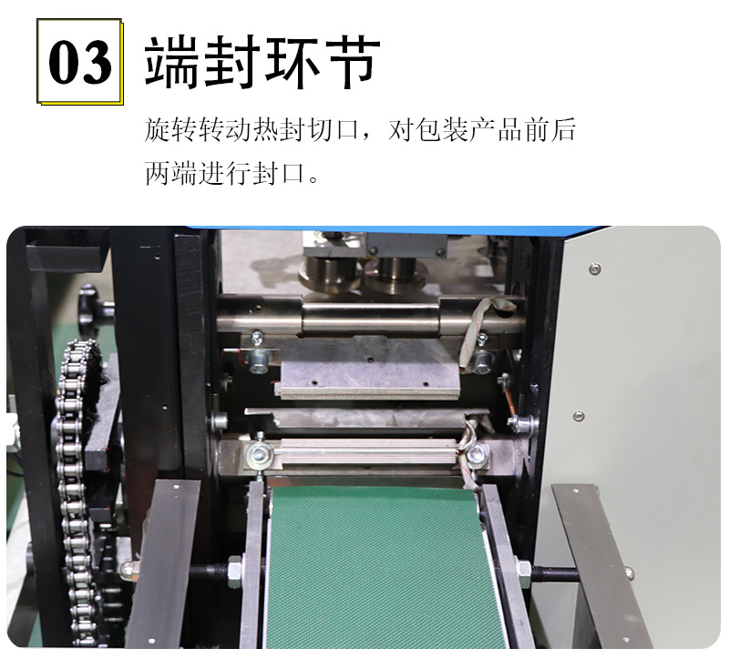 枕式速冻饺子包装机(图4)