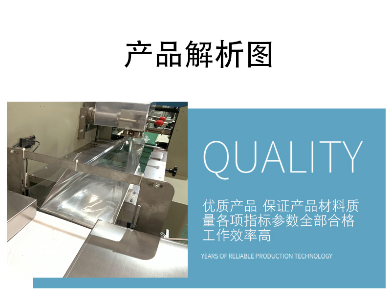 枕式速冻饺子包装机(图6)