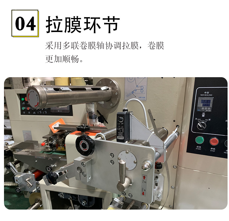 枕式速冻饺子包装机(图5)