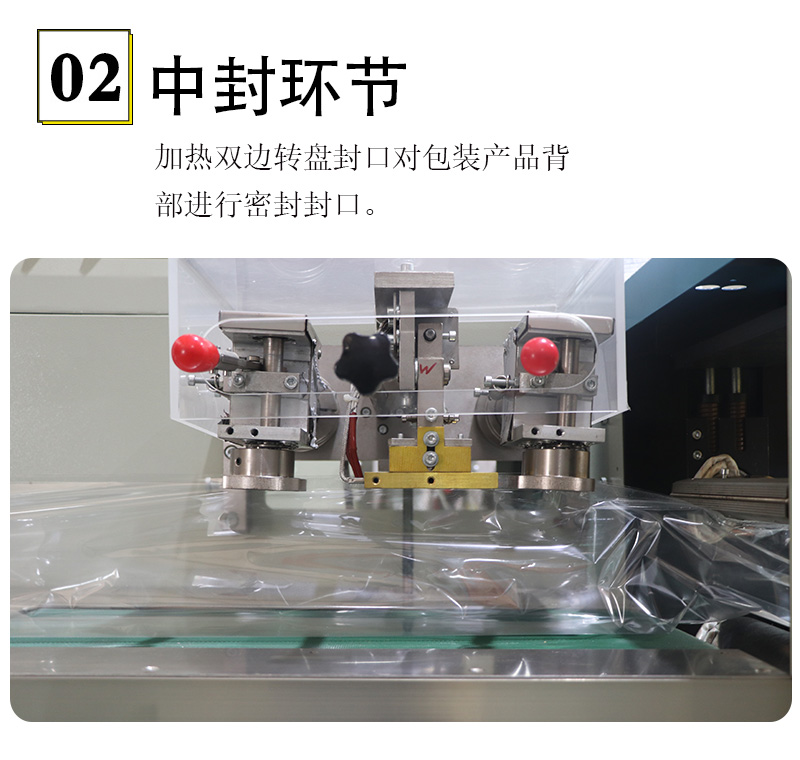 枕式速冻饺子包装机(图3)