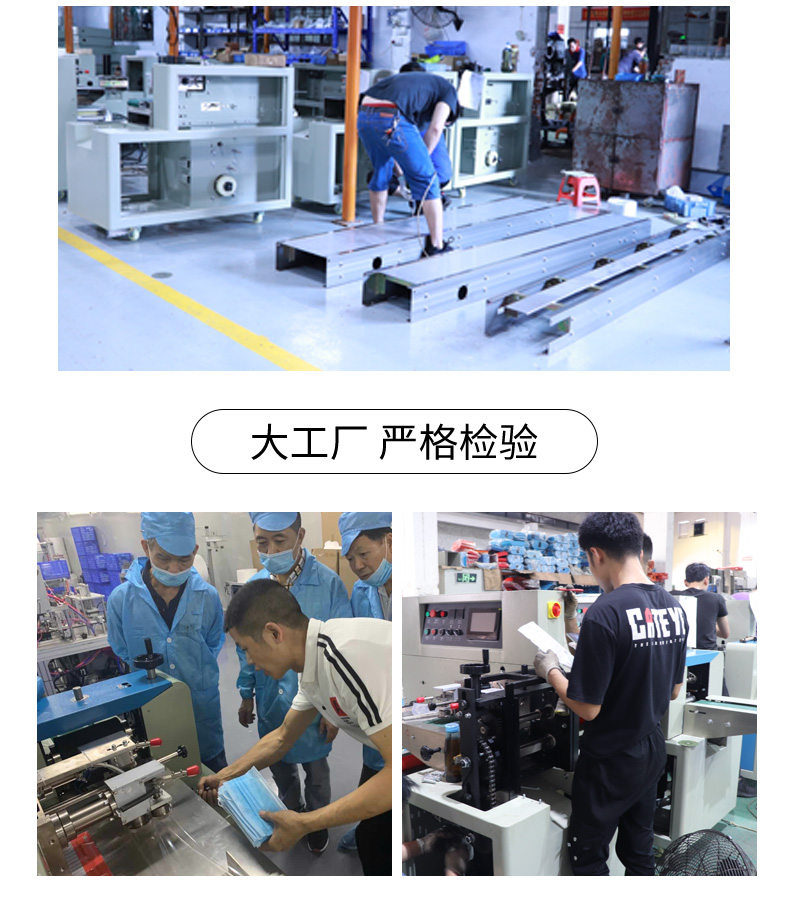 枕式速冻饺子包装机(图10)