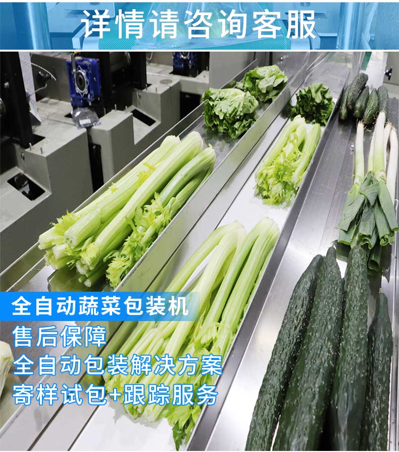 玉米萝卜青菜包装机(图1)