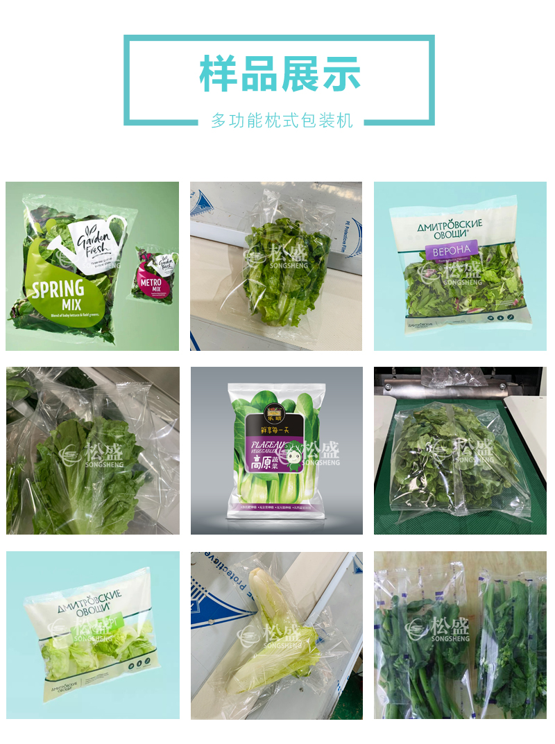 多功能蔬菜叶菜包装机(图1)