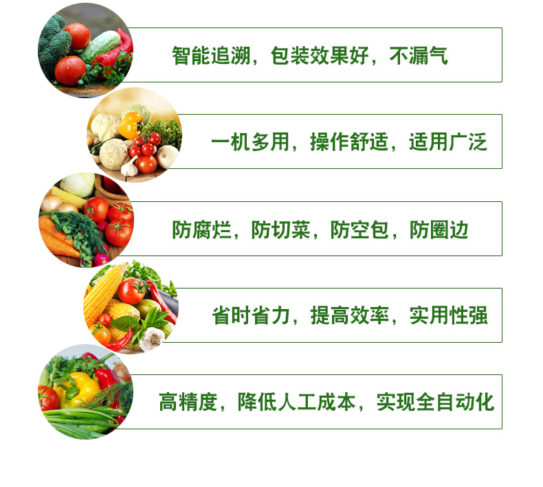 蔬菜自动包装机(图2)