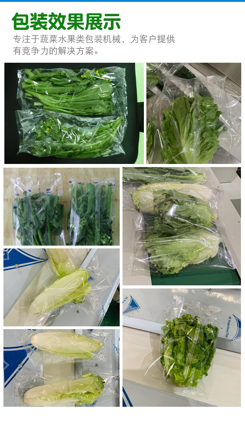 蔬菜自动包装机(图2)
